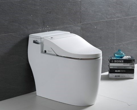 BỒN CẦU THÔNG MINH KELI KPC-CP09
