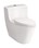 Bồn cầu 1 khối Toto CW636B