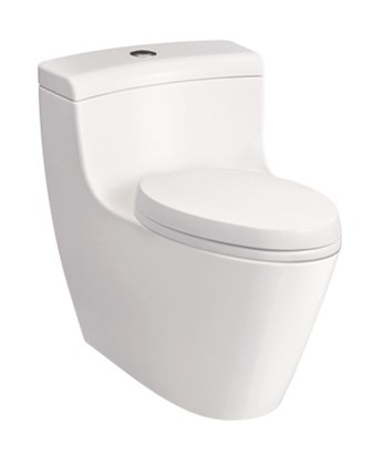 Bồn cầu 1 khối Toto CW636B