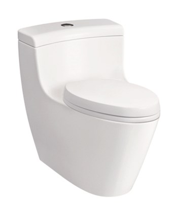 Bồn cầu 1 khối Toto CW636B