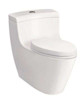 Bồn cầu 1 khối Toto CW636B