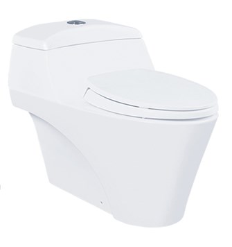 Bồn cầu 1 khối Toto CW823NW-F