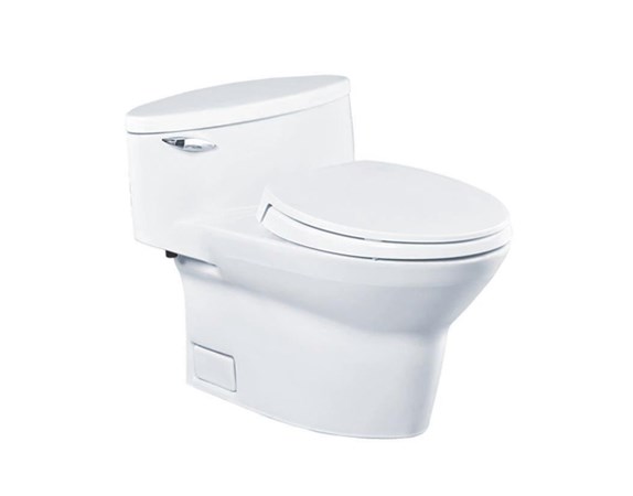 Bồn cầu 1 khối Toto CW904W-F