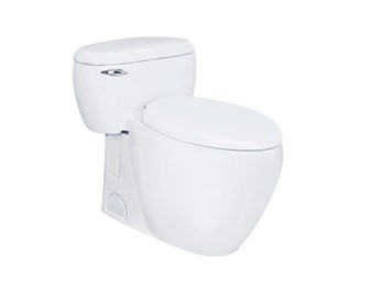 Bồn cầu 1 khối Toto MS366T7