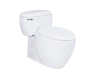 Bồn cầu 1 khối Toto MS366T7