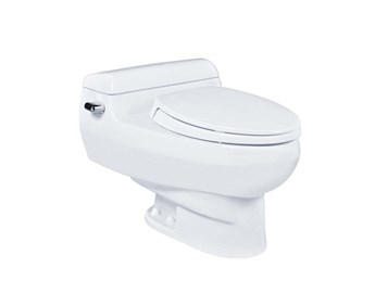 Bồn cầu 1 khối Toto MS436BT2
