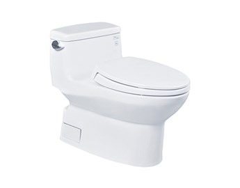 Bồn cầu 1 khối Toto MS884T2