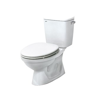 Bồn cầu 2 khối Inax C117 VA