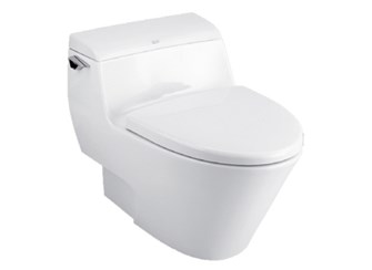 Bồn cầu American Standard 1 khối 2040WT
