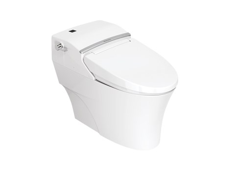 Bồn cầu American Standard 1 khối WP 2012 WF7212