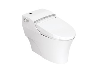 Bồn cầu American Standard 1 khối WP 2012 WF7212