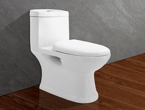 Bồn cầu Viglacera liền khối C109