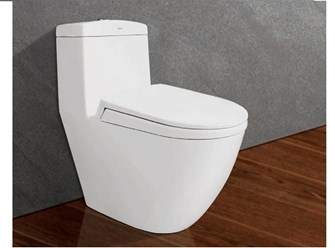 Bồn cầu Viglacera liền khối V199