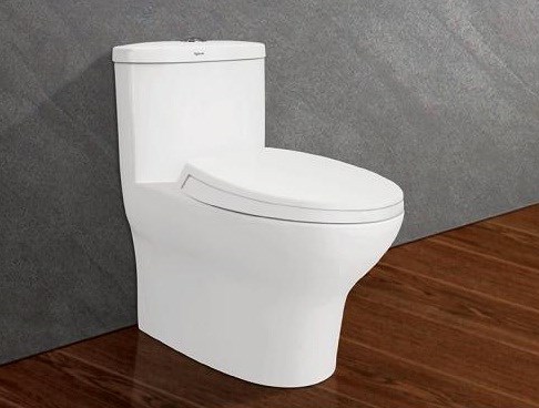 Bồn cầu Viglacera liền khối V37S