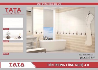 Bộ gạch ốp 30x60cm TATA3622