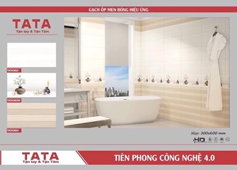 Bộ gạch ốp 30x60cm TATA3622