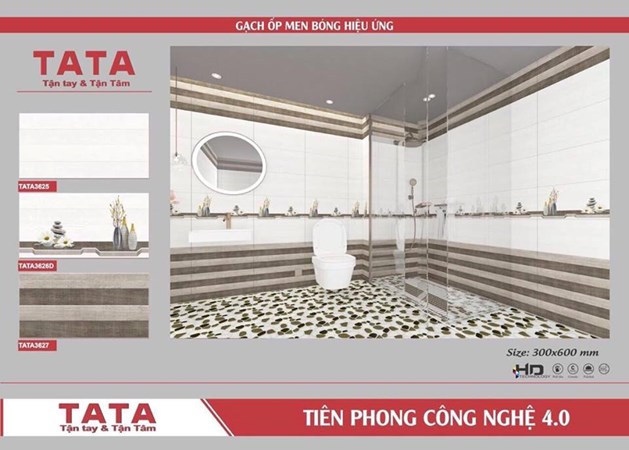 Bộ gạch ốp 30x60cm TATA3625