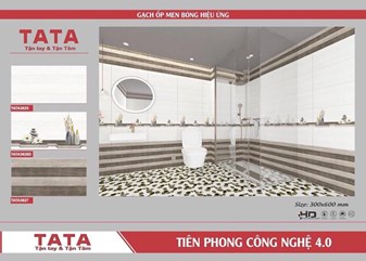 Bộ gạch ốp 30x60cm TATA3625