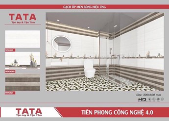 Bộ gạch ốp 30x60cm TATA3625