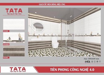 Bộ gạch ốp 30x60cm TATA3625