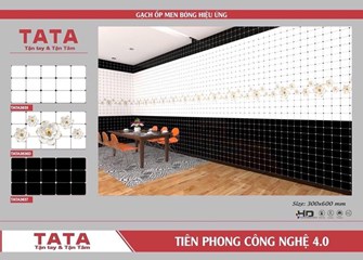 Bộ gạch ốp 30x60cm TATA3635