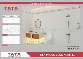 Bộ gạch ốp 30x60cm TATA3640