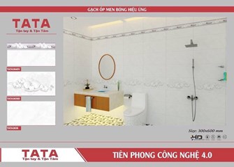 Bộ gạch ốp 30x60cm TATA3640