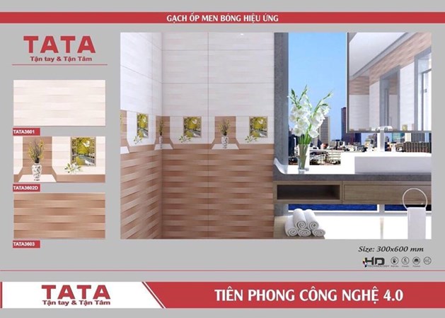 Bộ gạch ốp tường 30x60cm TATA 3601