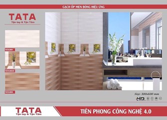 Bộ gạch ốp tường 30x60cm TATA 3601