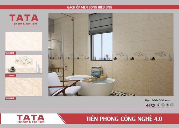 Bộ gạch ốp tường 30x60cm TATA 3610