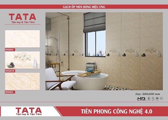 Bộ gạch ốp tường 30x60cm TATA 3610