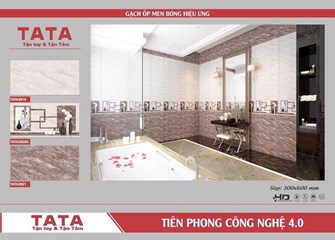 Bộ gạch ốp tường 30x60cm TATA 3619