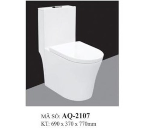 Bồn cầu liền khối AQUA AQ-2107