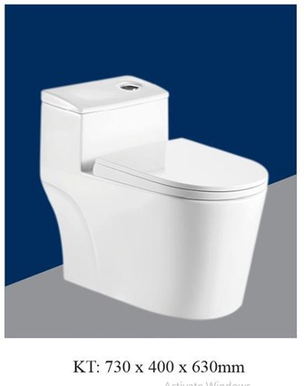 Bồn cầu liền khối AQUA - AQ2032