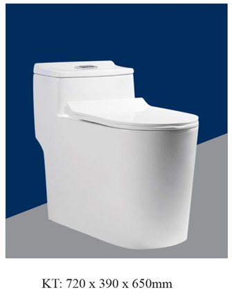 Bồn cầu liền khối AQUA - AQ2083