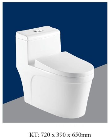 Bồn cầu liền khối AQUA - AQ2094