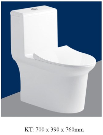 Bồn cầu liền khối AQUA - AQ2110