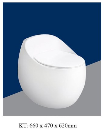 Bồn cầu liền khối AQUA - S088