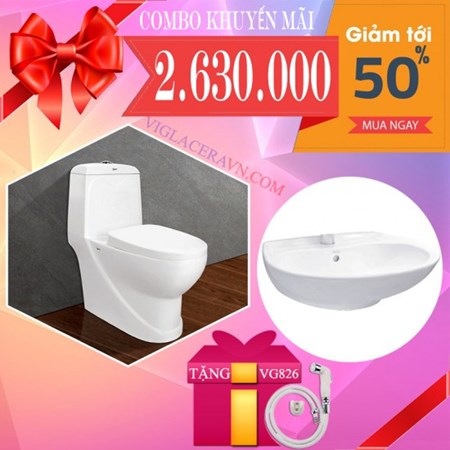 Combo Bồn cầu Viglacera V38