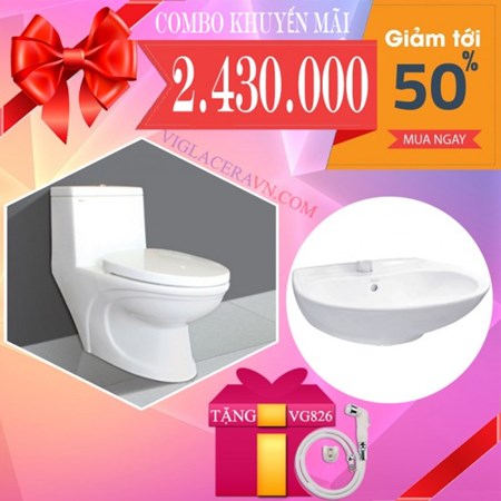 Combo Bồn cầu Viglacera V39