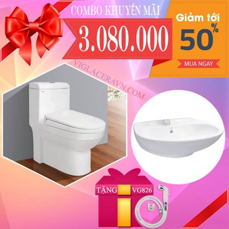 Combo Bồn cầu Viglacera V41
