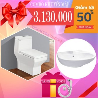 Combo Bồn cầu Viglacera V42