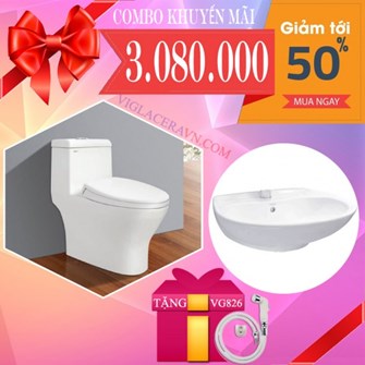 Combo Bồn cầu Viglacera V45