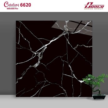 Đá bóng kiếng CATALAN 60x60cm 6620