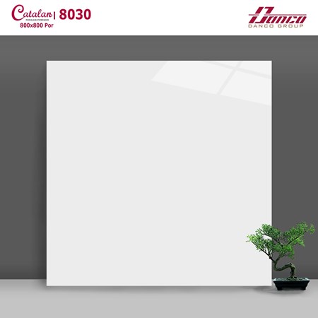 Đá bóng kiếng trắng trơn Catalan 80x80cm 8030