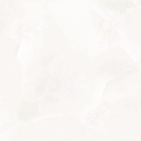 Đá bóng kiếng toàn phần 60x60 cm Prime 9044