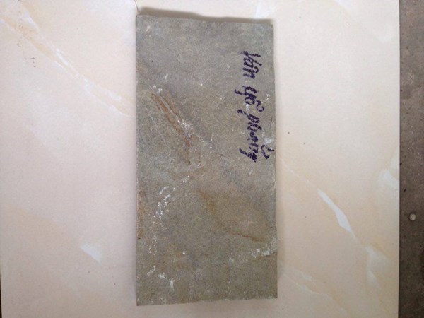 Đá vân gỗ phẳng 10x20cm