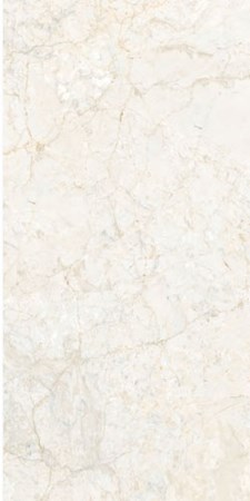 Gạch 25x60 cm Đồng Tâm 2560HOADAT 001