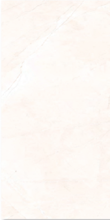 Gạch 25x60 cm Đồng Tâm 2560ROME 001