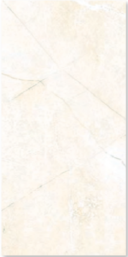 Gạch 25x60 cm Đồng Tâm 2560ROME 002